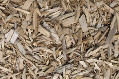 biomass boilers Magherafelt